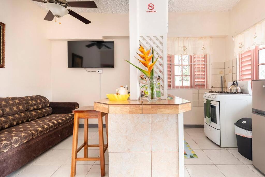 Shaw Park Gem Apt 12A Ocho Rios Luaran gambar